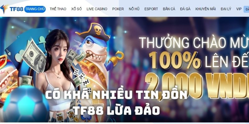 Cập nhật thông tin mới về tin tức TF88 lừa đảo