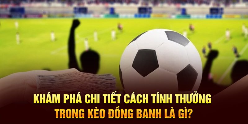 Bí quyết tính thưởng khi chơi kèo đồng banh